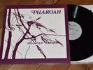 Pharoah Sanders M-  India Navigation lp Rare Reissue Spiritual Jazz Masterpiece