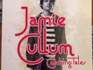 CATCHING TALES -  JAMIE CULLUM - DOUBLE VINY LP ALBUM 2005