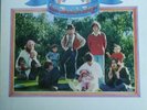 The Beach Boys Sunflower Record Vinyl Album LP