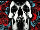 DEFTONES - Deftones (reissue) - Vinyl (LP + insert)