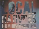 Local Natives Hummingbird UK vinyl LP album record INFECT144LP INFECTIOUS 2013