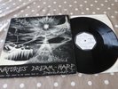 Nature's Dream-Harp Robert Archer UK Private Press Signed Ambient Glastonbury LP