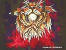 HYPER ON EXPERIENCE - Disturbance Remixes - Vinyl (double 10