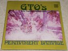 GTO’s Permanent Damage VERY RARE ORIG UK 1969 EX++ STRAIGHT LP, SUPERB SOUND