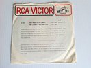 THE GRASS ROOTS ONLY WHEN YOU'RE LONELY/THIS IS WHAT I WAS MADE FOR 1966 RCA 45