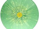 Dorsey Brothers Show 1956 / Ed Sullivan Show 1956- - Elvis Presley (Vinyl New)