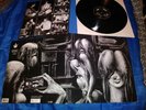 The Shiver - Walpurgis 12