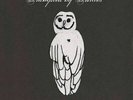 Trampled By Turtles - Palomino LP NEW
