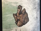 Listener Wooden Heart Green Marbled Vinyl Sealed 3rd Pressing 2018 180g