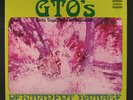 GTO'S: Permanent Damage LP (tiny tag tear oc) Rock & Pop