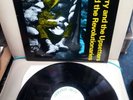 Lee scratch Perry upsetters - Reminah Dub with Sly & The Revolutionaries LP 12
