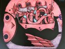 SEALED My Morning Jacket - Z - Vinyl Me Please 2-LP Gatefold - Clear w/Splatter