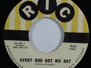 R&B Rocker 45 EDDIE BO Every Dog Got His Day RIC VG+ HEAR