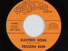 Psych Funk Fuzz 45 - Frozen Sun - Electric Soul - Capt. Zoomar - VG+ mp3