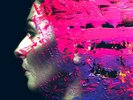 DoLP Steven Wilson – Hand. Cannot. Erase. Ltd. ART-PRINT Edition SEALED only 600