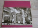 Vinyl LP - U2 - The Unforgettable Fire, 1984, Island, 206 530-620, Zustand mint