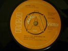 Beverly Ann - You've Got Your Mind On Other Things - RCA  Demo - Northern Soul
