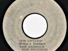 ROCK ACETATE -- The Animals : I'm Crying - MGM 13274 - 45 (VG) HOLY GRAIL