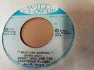 Bobby Soul & The Righteous Flames Babylon Burning 7