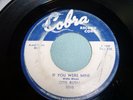 Otis Rush Groaning the Blues / If You Were Mine Cobra 5010 45RPM VG