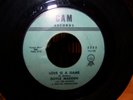 Teen / Doowop 45 - Doyle Madden - Cam 5253  ? Hear  ?
