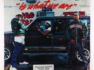 2 Live Crew - Is What We Are LP - Luke Skyywalker VG+ Shrink