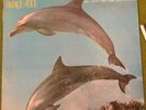 ORANGE JUICE You Can't Hide your Love Forever '82 Polydor Vinyl LP Edwyn Collins