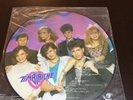 TIMBIRICHE La Banda Timbiriche PICTURE DISC 1986 MEXICO LP Thalia Sasha Paulina