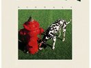 Rush - Signals (Vinyl New)