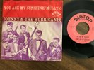 Johnny & The Hurricanes  You Are My Sunshine / Molly-O 45 With PS VG++ vinyl