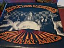 13TH FLOOR ELEVATORS FIRE IN MY BONES LP SEALED TAR 4 TEXAS ARCHIVE 66-67 SUMP