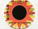 TEDDY & THE ROUGH RIDERS Money and Gold on Huron Rockabilly 45 Hear
