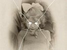 CURRENT 93 The Light Is Leaving Us All LP VINYL 11 Track Cream Vinyl In Gatefo
