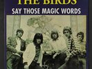 BIRDS: Say Those Magic Words LP (UK) Rock & Pop