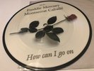 Freddie Mercury How Can I Go On Uk 7 Picture Disc Rare Limited Orig (queen)