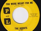AGENTS You Were Meant For Me RARE northern soul sweet soul SAME GROUP AS Trouble