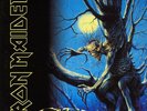 Iron Maiden - Fear of the Dark - 2lp 180gram Vinyl Open VG+/VG+