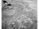 Nicolas Jaar ?– Space Is Only Noise - Circus Company ?– Deep-House Klassiker