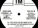 JAMES COBBIN you stay on my mind 1984 Maxi EP (12