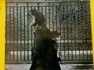 SIGNED After the Gold Rush by Neil Young LP ALL PROCEEDS GO TO BUSHFIRE RELIEF