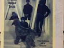 THE BEATLES INDIAN ROPE TRICK THE ECHOES OF A DREAM LP BOOTLEG