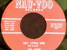 HEAR 45 RARE DOO-WOP The JADES Hey, Little Girl / Walking All Alone NAU-VOO 1957