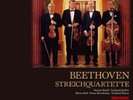 Wiener Musikverein Quartett Beethoven Streichquartette 10LP TOWER RECORDS JAPAN