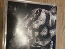 Satyricon-Volcano Orig.1st.Press