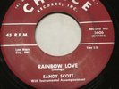 Rare Rockabilly 45 Sandy Scott: Shake It Up / Rainbow Love