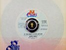 JESSE JAMES *Demo* IF YOU WANT A LOVE AFFAIR *VG++* NORTHERN MODERN SOUL ??