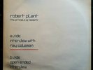 Robert Plant - The Principle Of Moments (Promo Interview Vinyl Album) - Unplayed