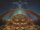 Big Moon Ritual [VINYL]