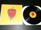 DASHBOARD CONFESSIONAL- The Shade Of Poison Trees Vinyl