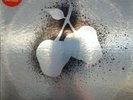 Silver Apples 
